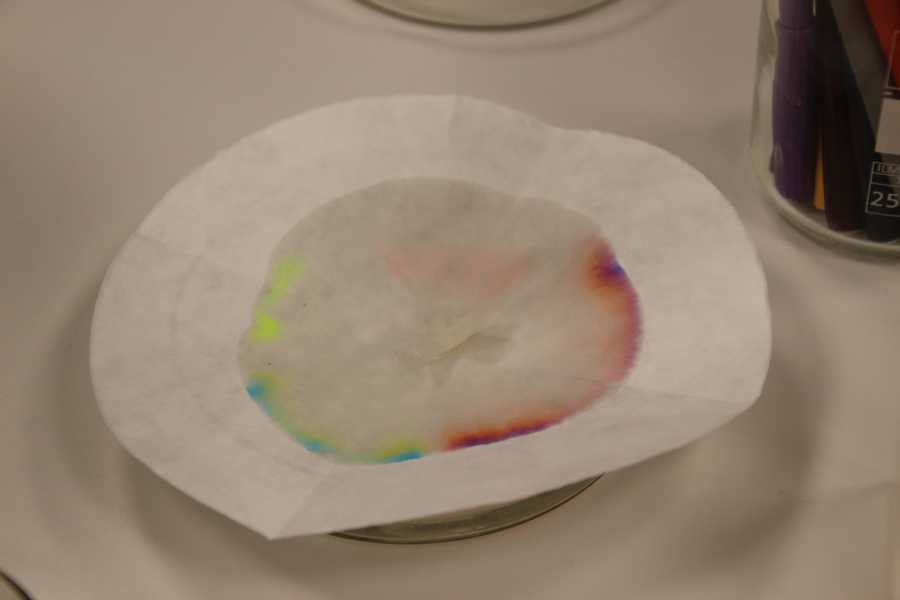 K800_Auswahl Martini_NdoT2 (6)